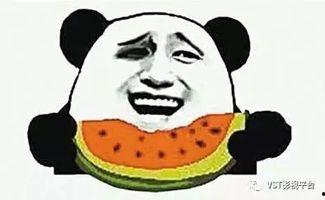 娱乐吃瓜君 猴哥,娱乐吃瓜君揭秘猴界风云